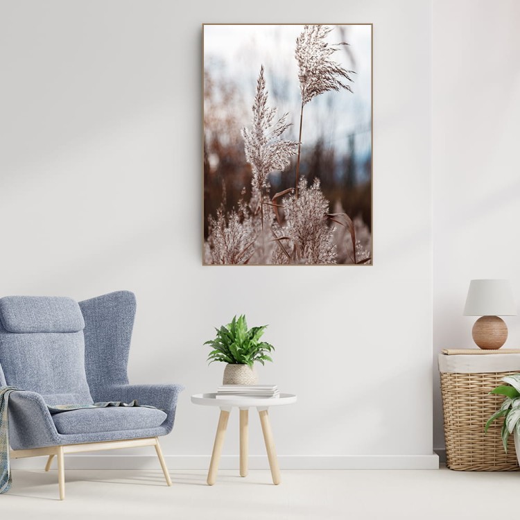 plakat trawa pampasowa 06