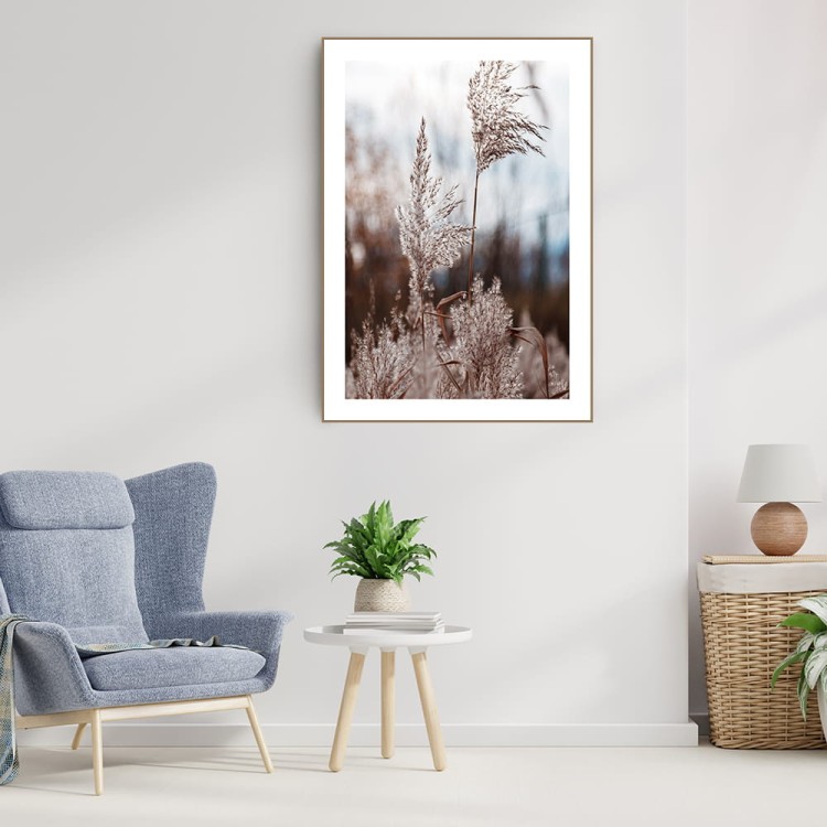 plakat trawa pampasowa 06 z białym obramowaniem