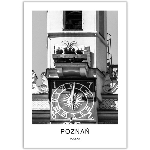 plakat poznań polska koziołki
