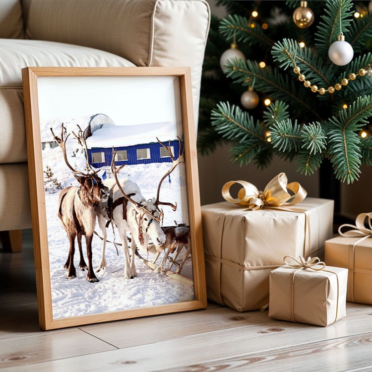 plakat renifery w salonie