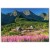 plakat tatry hala gąsienicowa