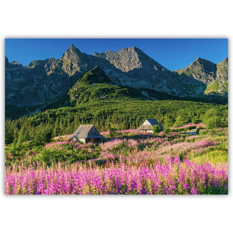 plakat tatry hala gąsienicowa
