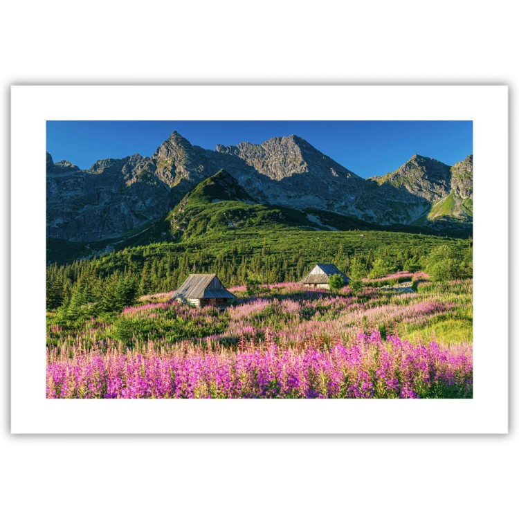 plakat tatry hala gąsienicowa z białym obramowaniem