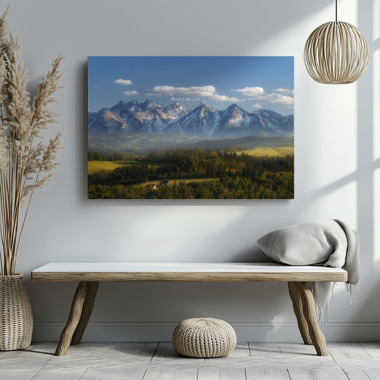 obraz drukowany na płótnie widok na tatry