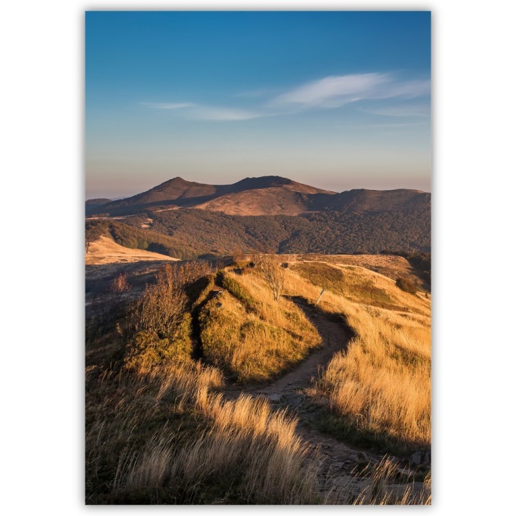 plakat bieszczady ścieżka wśród złotych traw
