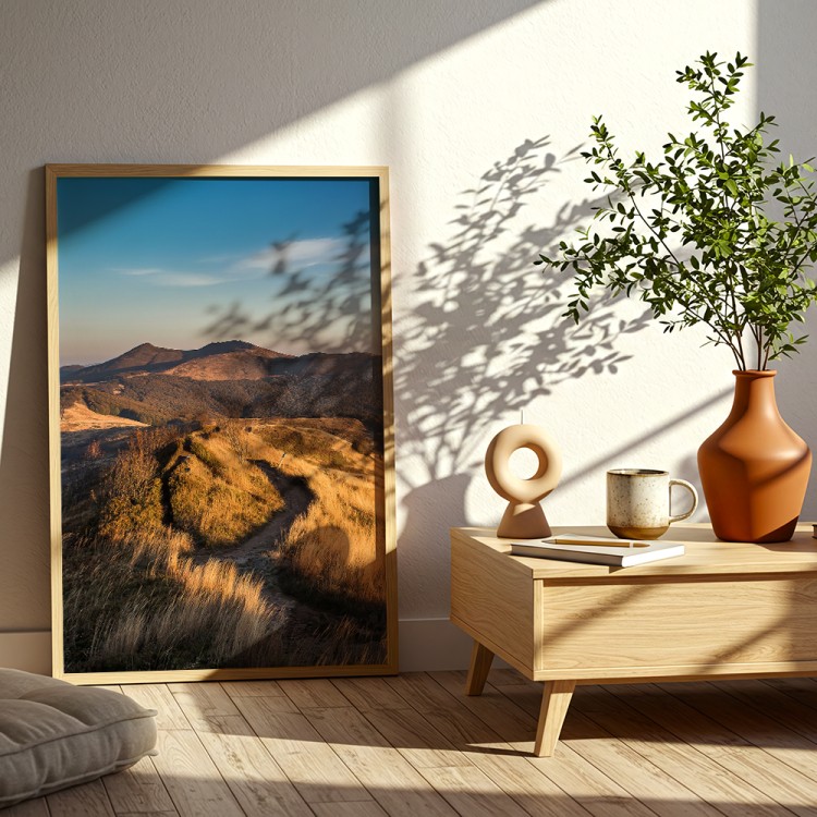 plakat bieszczady ścieżka wśród złotych traw w salonie
