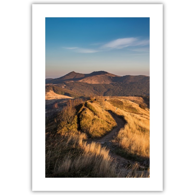 plakat bieszczady ścieżka wśród złotych traw z białym obramowaniem