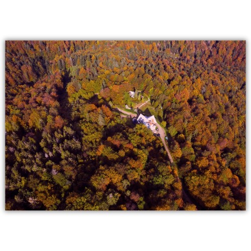 plakat beskidy jesień na jaworzynie krynickiej