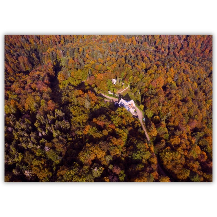 plakat beskidy jesień na jaworzynie krynickiej