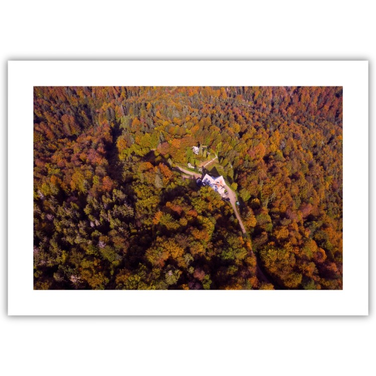 plakat beskidy jesień na jaworzynie krynickiej z białym obramowaniem