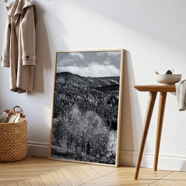 plakat beskidy beskidzkie pasma gór w przedpokoju